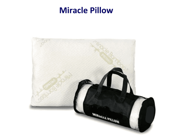 Miracle Pillow in carrying case.