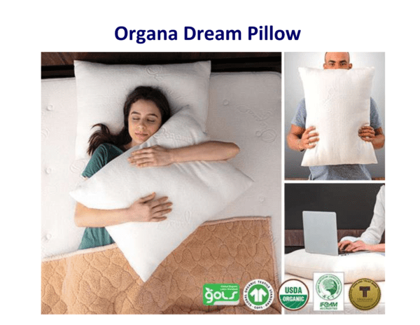 Organa Dream Pillow: Organic comfort.
