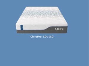 ChiroPro mattress, 1.0/3.0 model.
